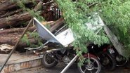 Reprodução/Noticias de Santaluz