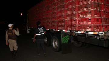 Divulgação / SSP-BA / Alberto Maraux