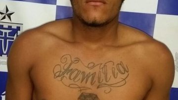 Divulgação