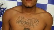 Divulgação