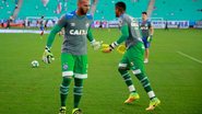 Reprodução