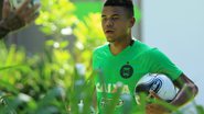 Divulgação/Coritiba
