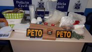 Divulgação