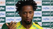 Cesar Greco/Ag. Palmeiras/Divulgação