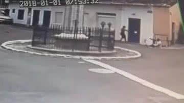 Reprodução