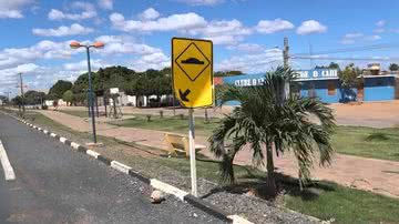 Reprodução