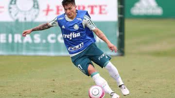 Cesar Greco / Ag. Palmeiras / Divulgação