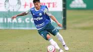Cesar Greco / Ag. Palmeiras / Divulgação