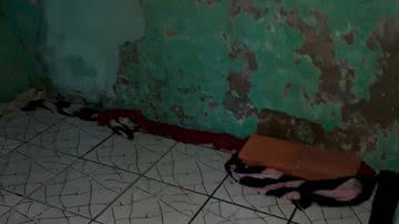 Reprodução