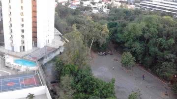 Reprodução