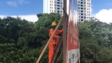 Reprodução