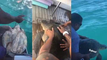 Reprodução // Instagram