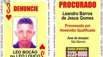 Divulgação