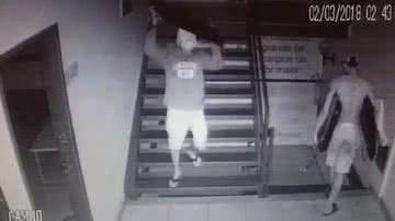 Reprodução
