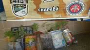 Divulgação/SSP
