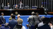 Waldemir Barreto/Agência Senado
