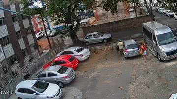 Reprodução