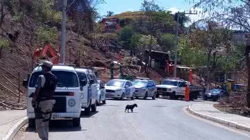 Leitor BNews