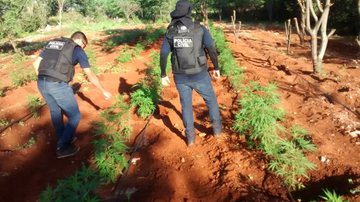 Divulgação/Polícia Civil