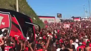 Reprodução