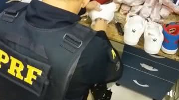 Reprodução