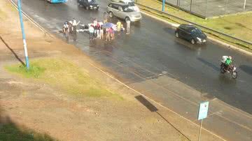 Reprodução