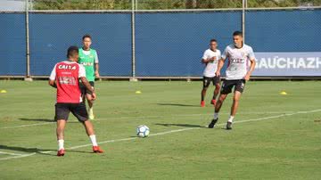 Reprodução