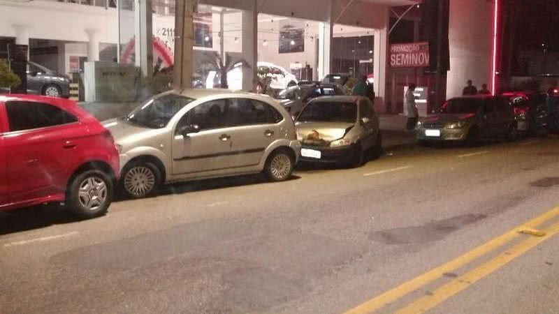 Guarda Municipal de Blumenau/Divulgação