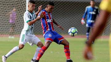Divulgação EC Bahia