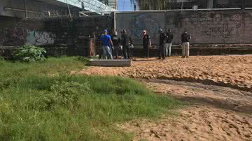 Divulgação