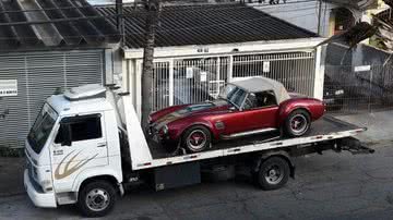 Reprodução