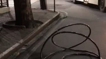 Reprodução