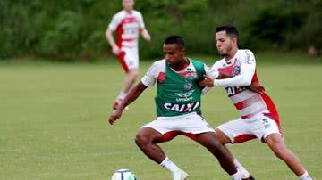 Divulgação
