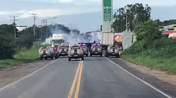 Reprodução