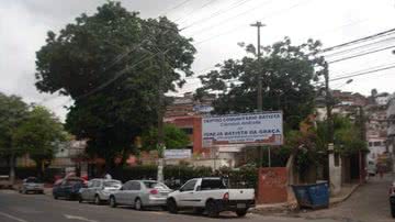 Reprodução