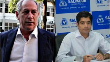 Reprodução
