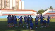Divulgação / EC Bahia
