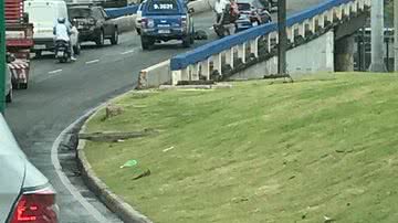 Leitor BNews
