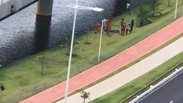 Reprodução