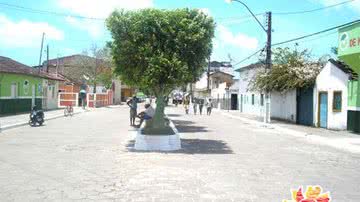 Reprodução