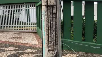 Leitor BNews