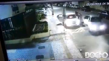 Reprodução