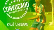 Divulgação EC Bahia