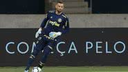 César Greco / Palmeiras
