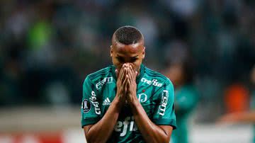 Divulgação/Palmeiras
