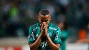 Divulgação/Palmeiras