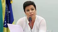 Gilmar Felix/ Câmara dos Deputados