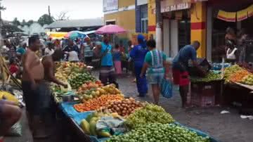 Reprodução