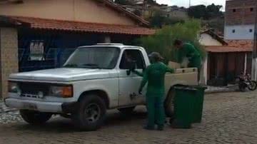 Reprodução