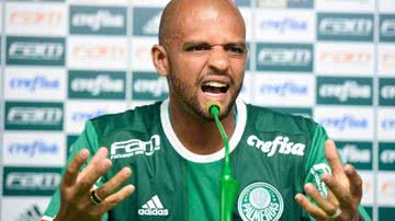 Cesar Greco/Agência Palmeiras/Divulgação